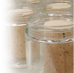 ds100 corks
